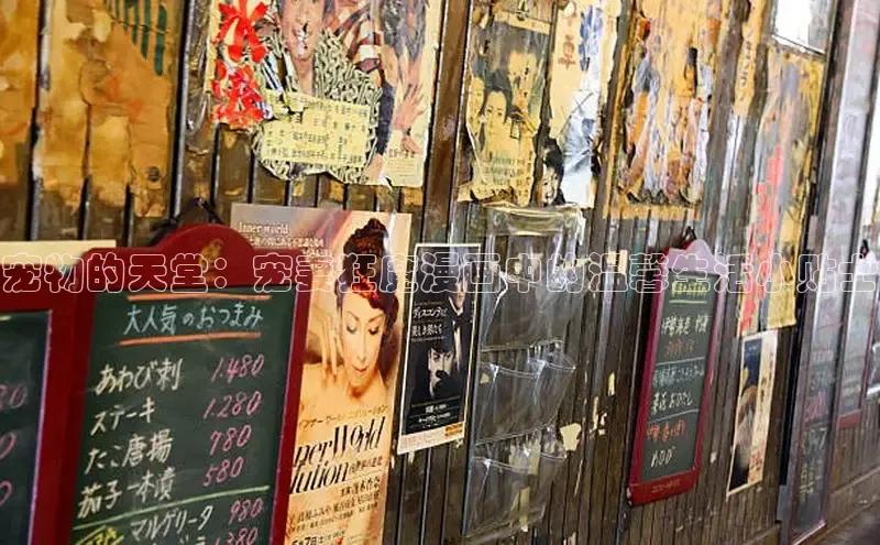 汗汗阅读下拉式